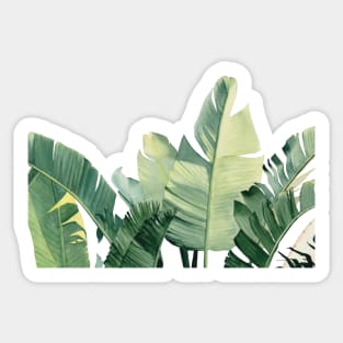 Watercolor tropical leaves Sticker